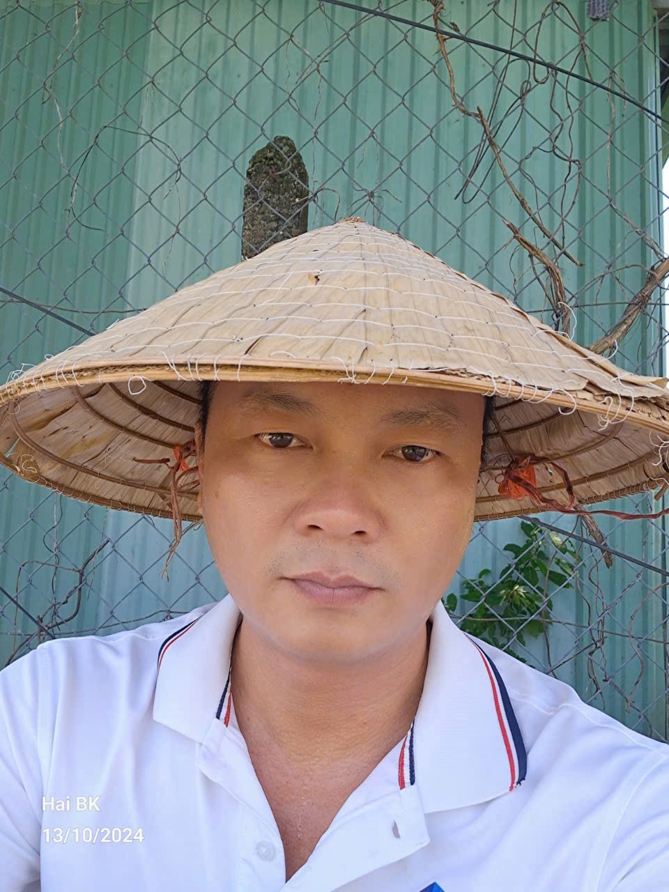 Hải Nguyễn 